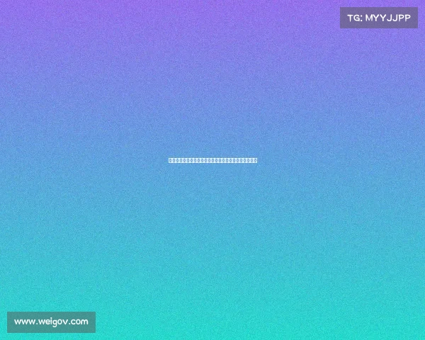 费兰托雷斯：探索这位传奇球员的成长历程与足球影响力