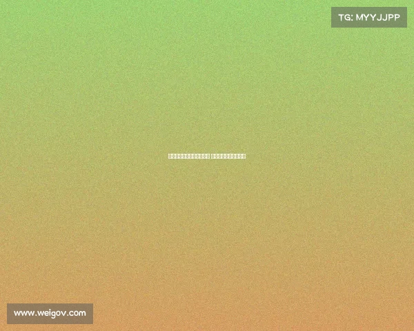 哈弗茨与哲凯赖什竞争激烈 各自提供不同战术选择